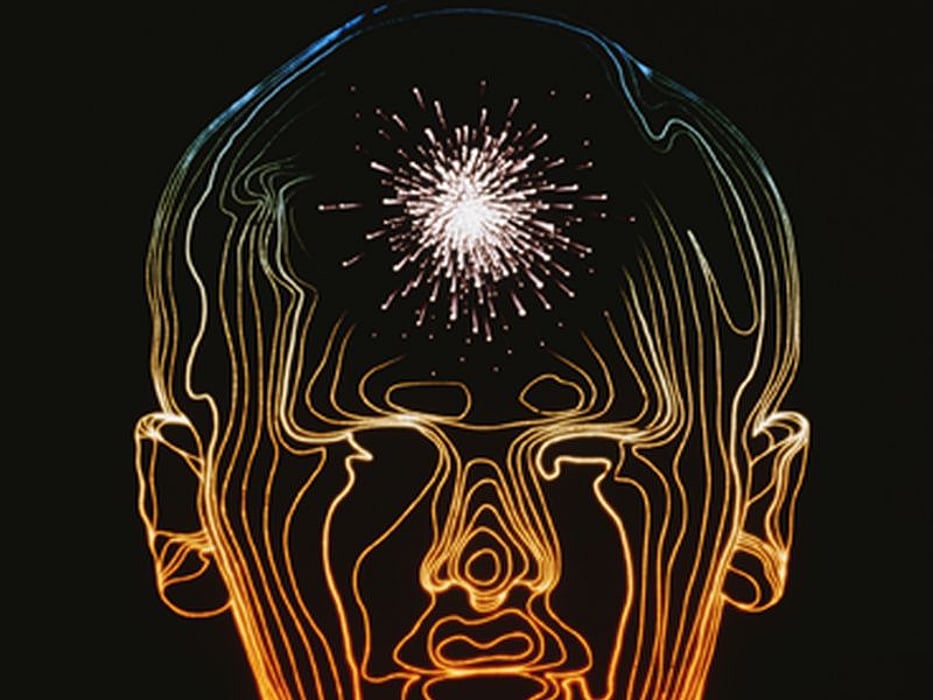 nervous system