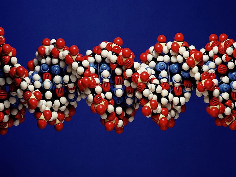 genetic helix