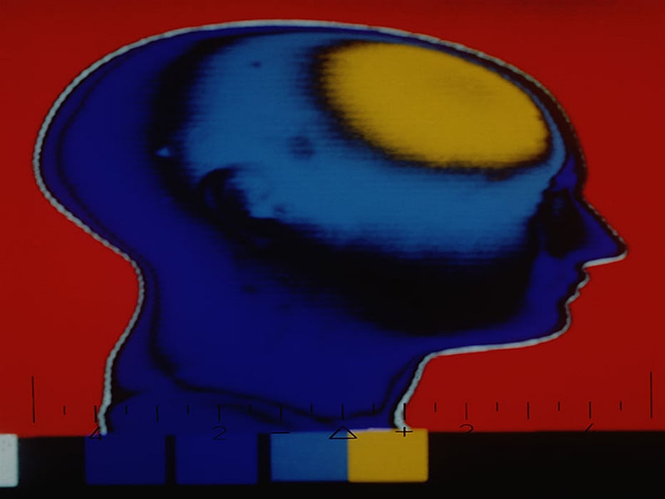human brain