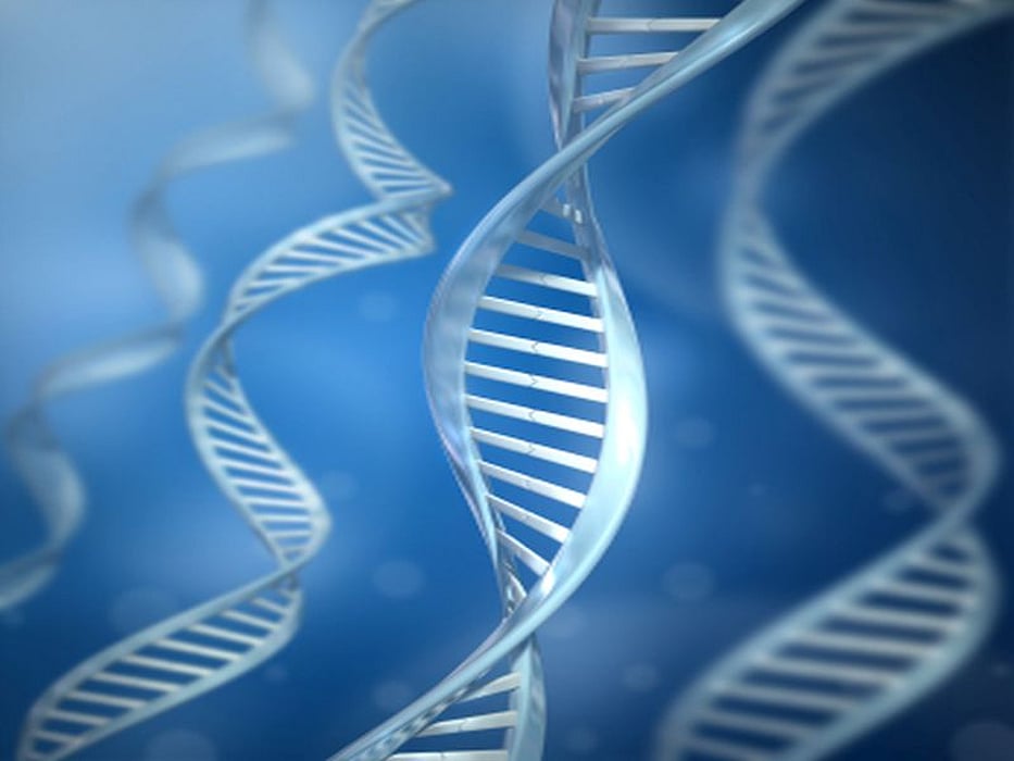 genetic helix