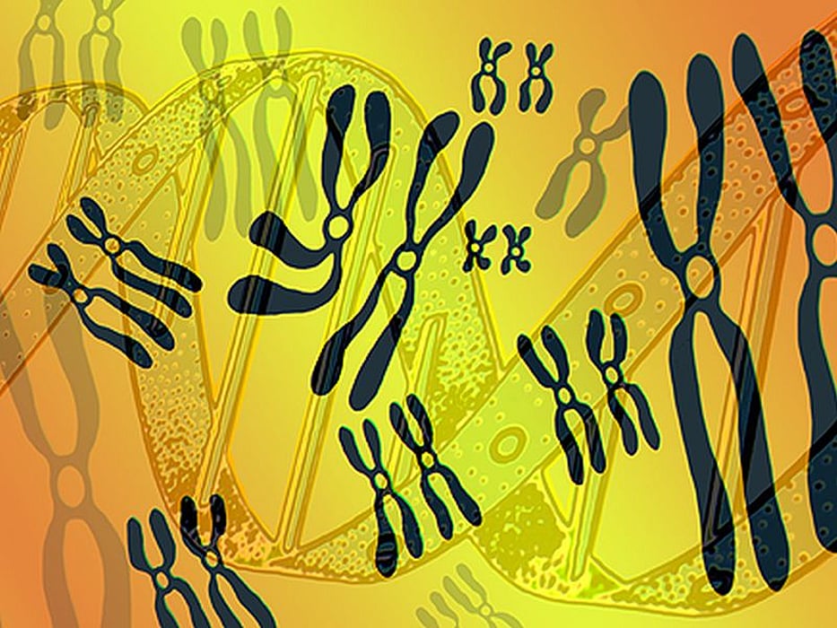 genetic helix