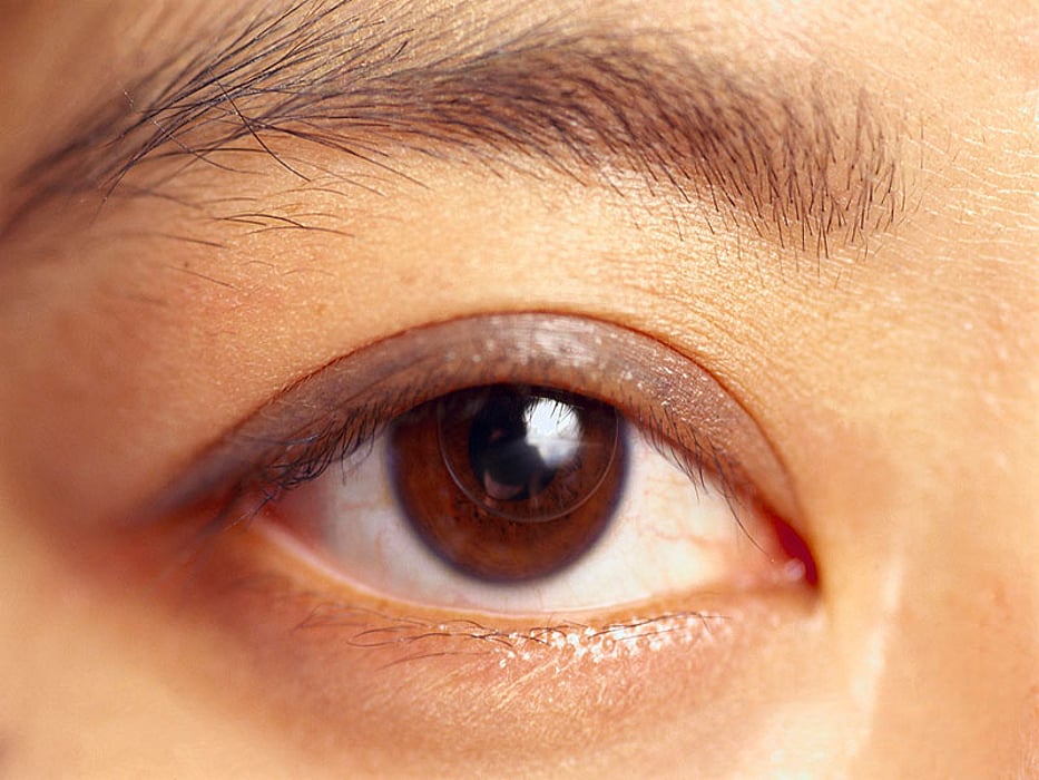 human eye