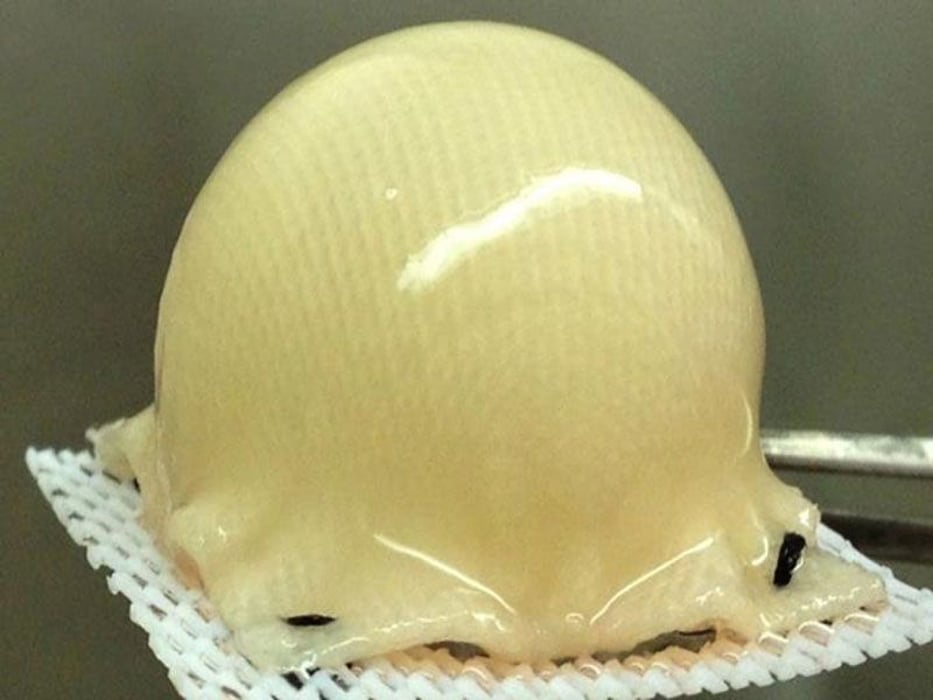 3-D cartilage-covered hip joint