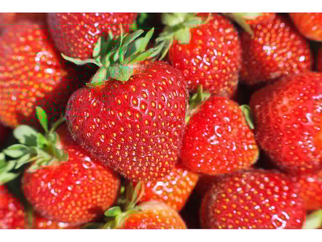 Organic Strawberries Linked to Hepatitis Cases, FDA Warns Consumer