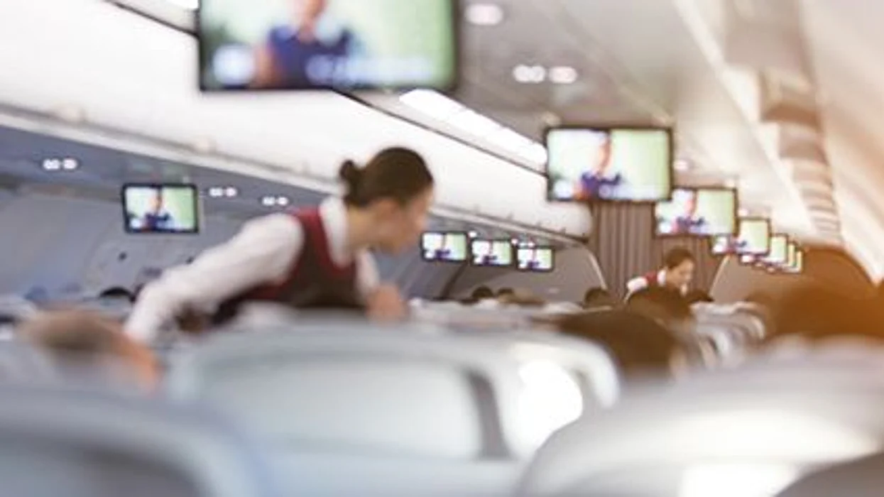 Flight attendant on the board of plane