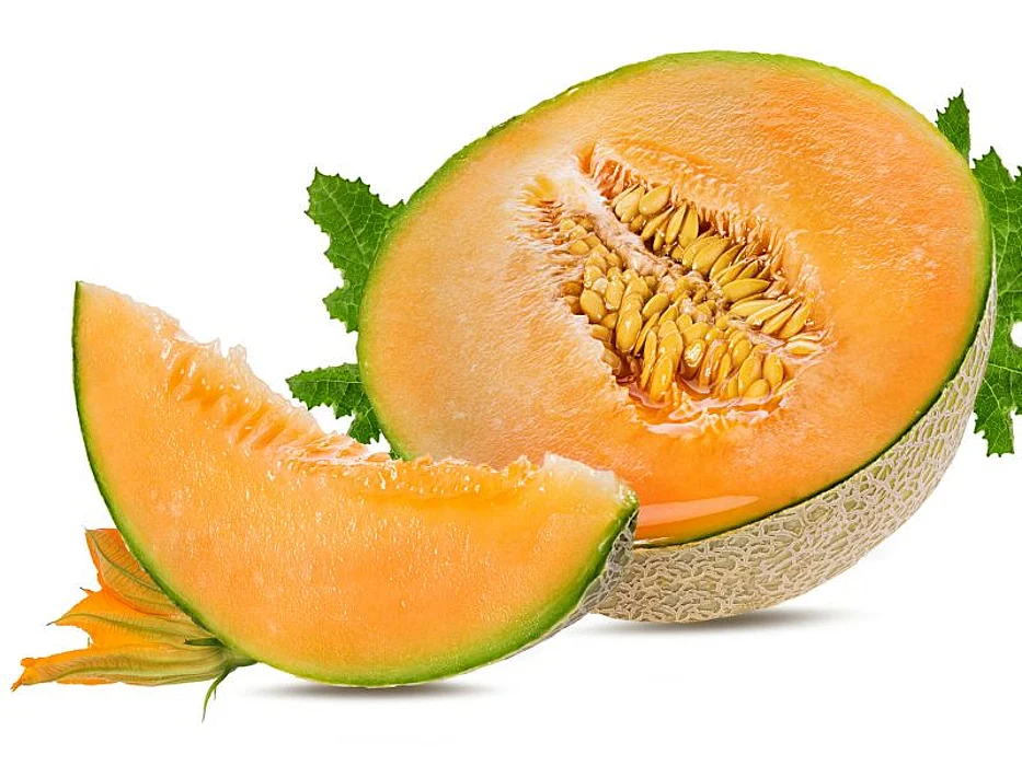 canteloupe