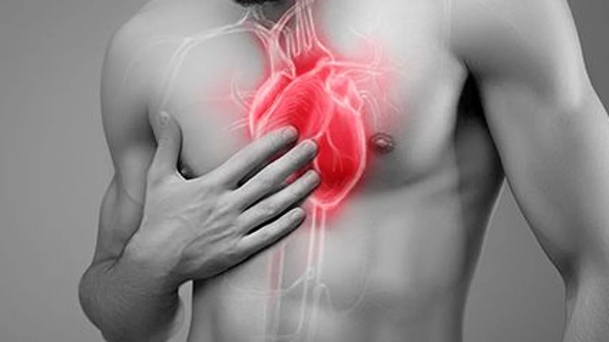 diagram showing a heart muscle