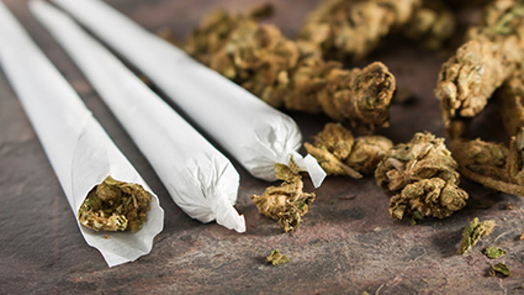 Yes, Pot Is Stronger Now Than in Decades Past, Study Finds - Consumer  Health News | HealthDay