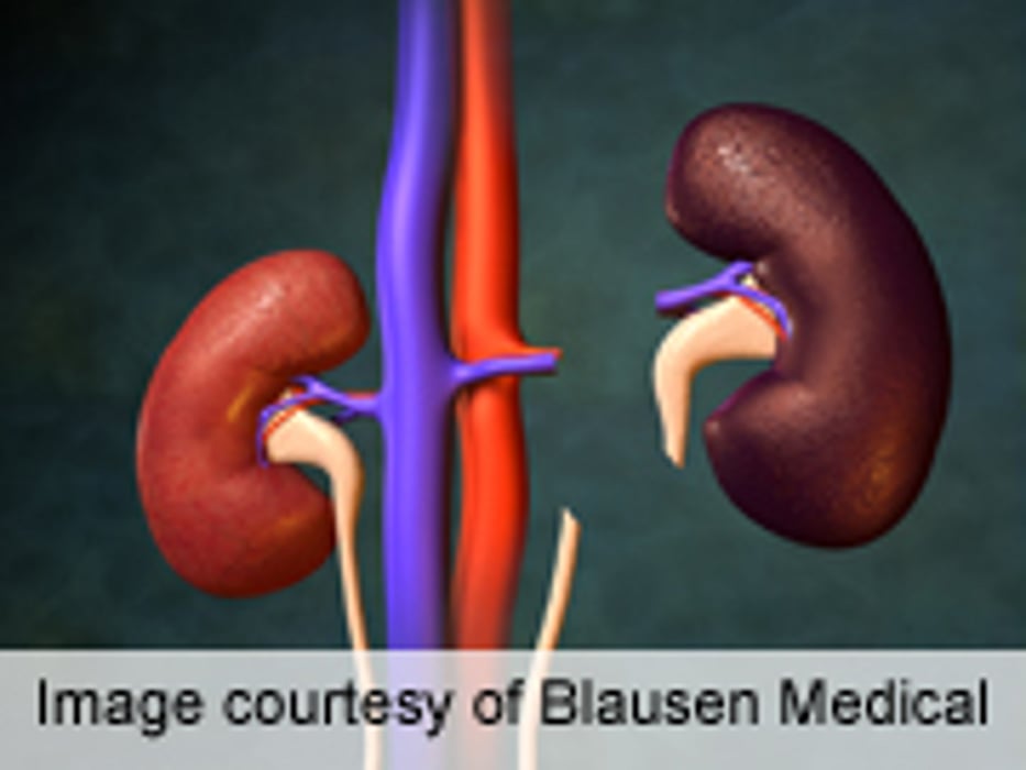 Conditioning Regimen Beneficial for Kidney Recipients