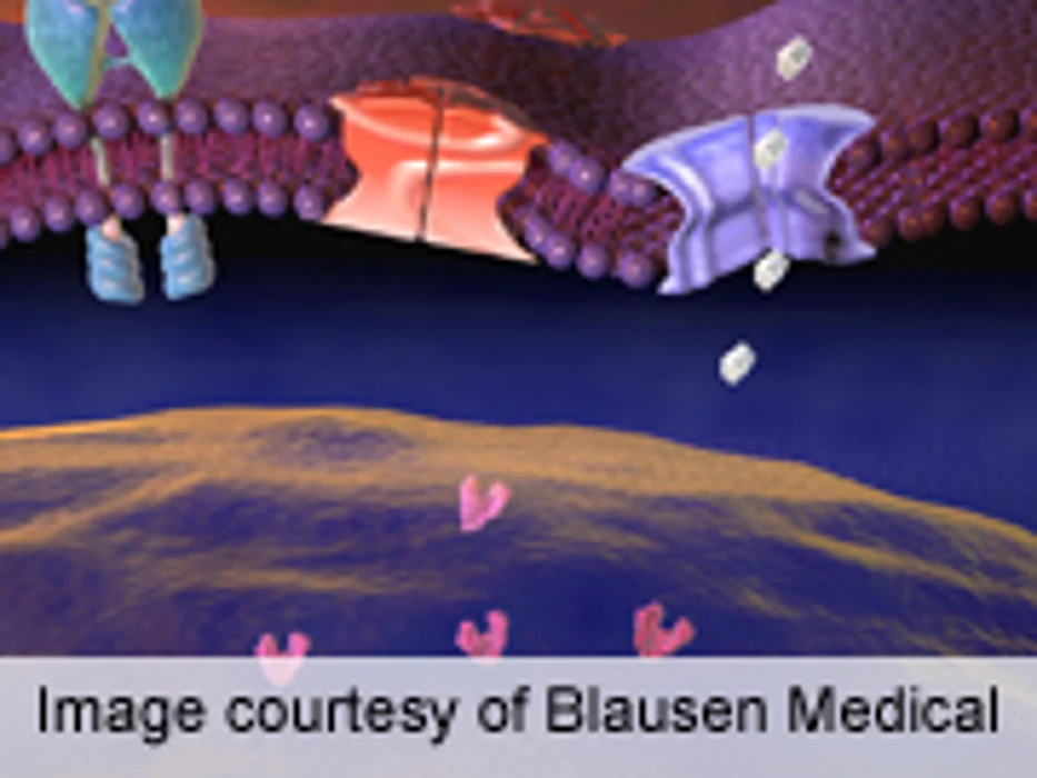 EASD: First-Line Sulfonylureas Associated With Higher Mortality