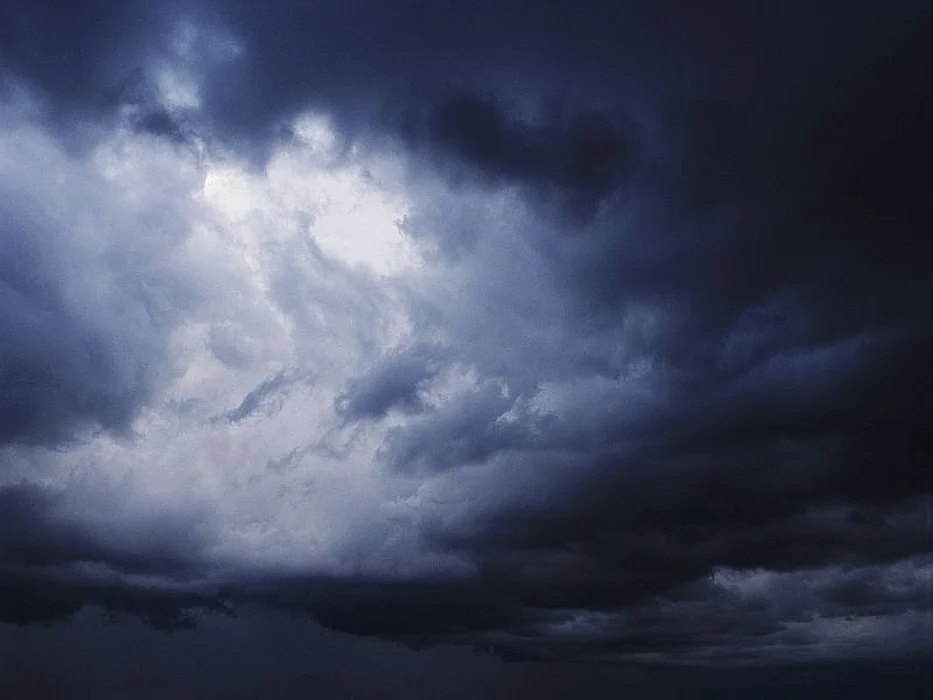Study: El Nino Could Boost Lyme Disease in Western U.S.