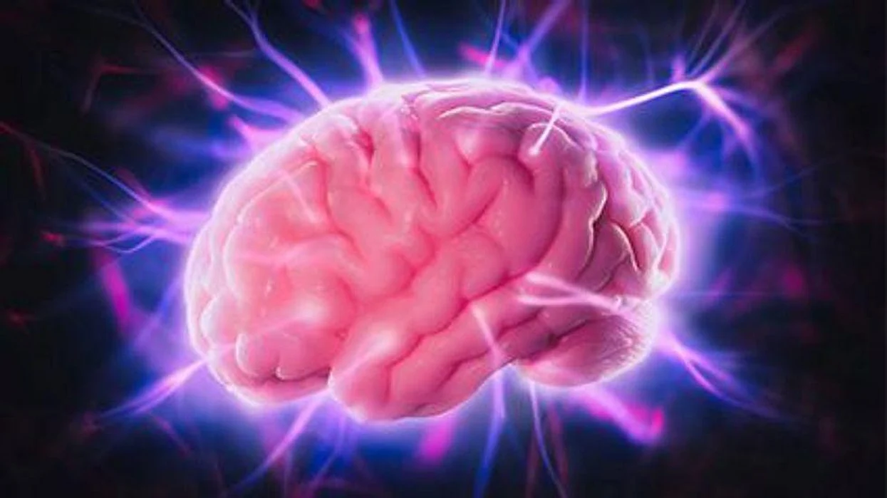 brain