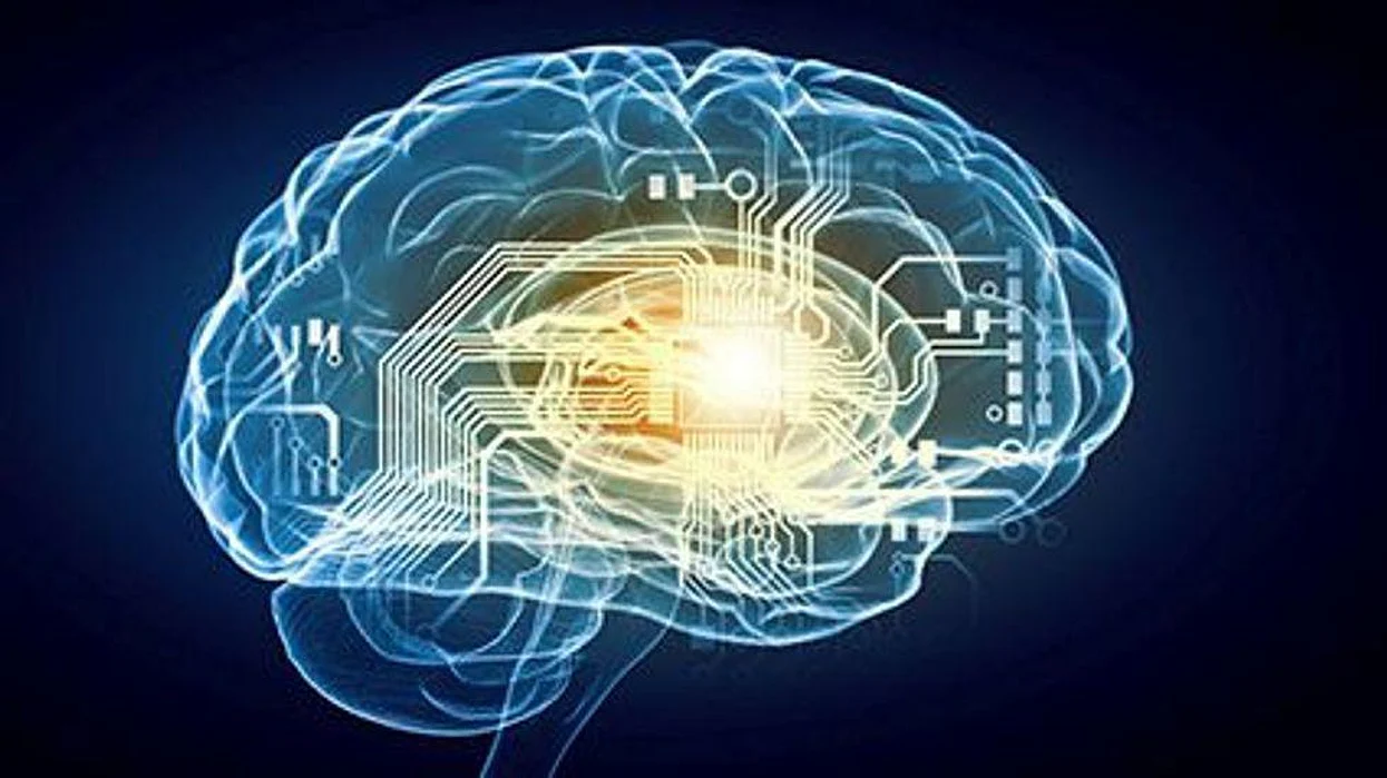 brain adhd alzheimer's