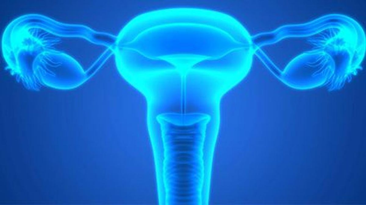 Lenvatinib + Pembrolizumab Treats Advanced Endometrial Cancer ...