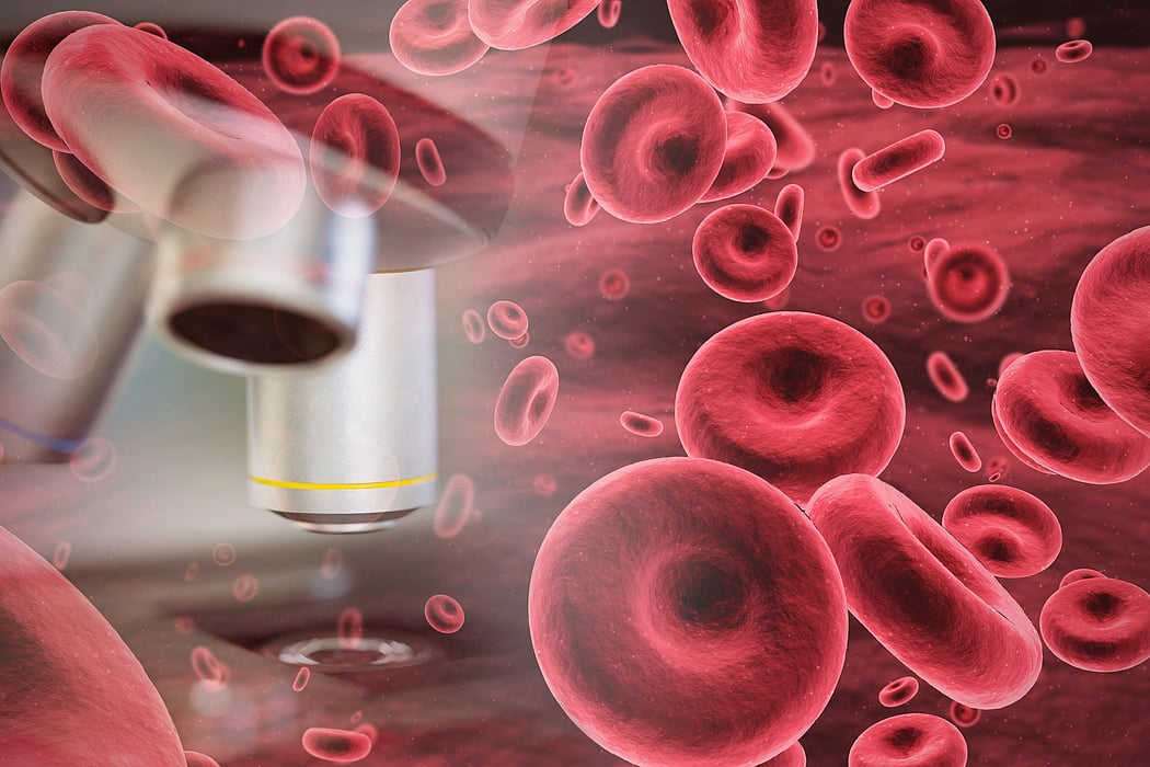 red blood cells