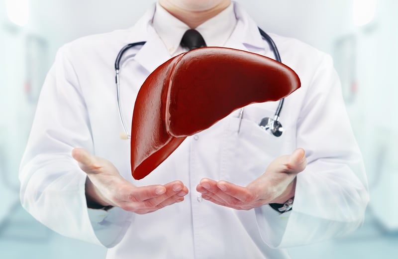 News Picture: Donating Portion of Your Liver to Someone in Need Is Safe, Life-Saving: Study