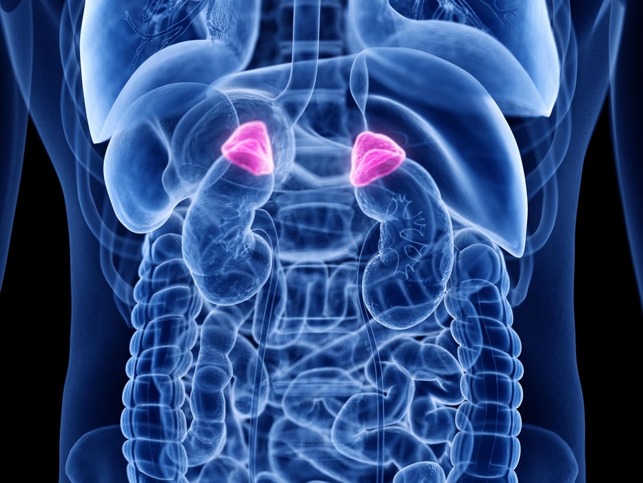 3d rendered medically accurate illustration of the adrenal gland