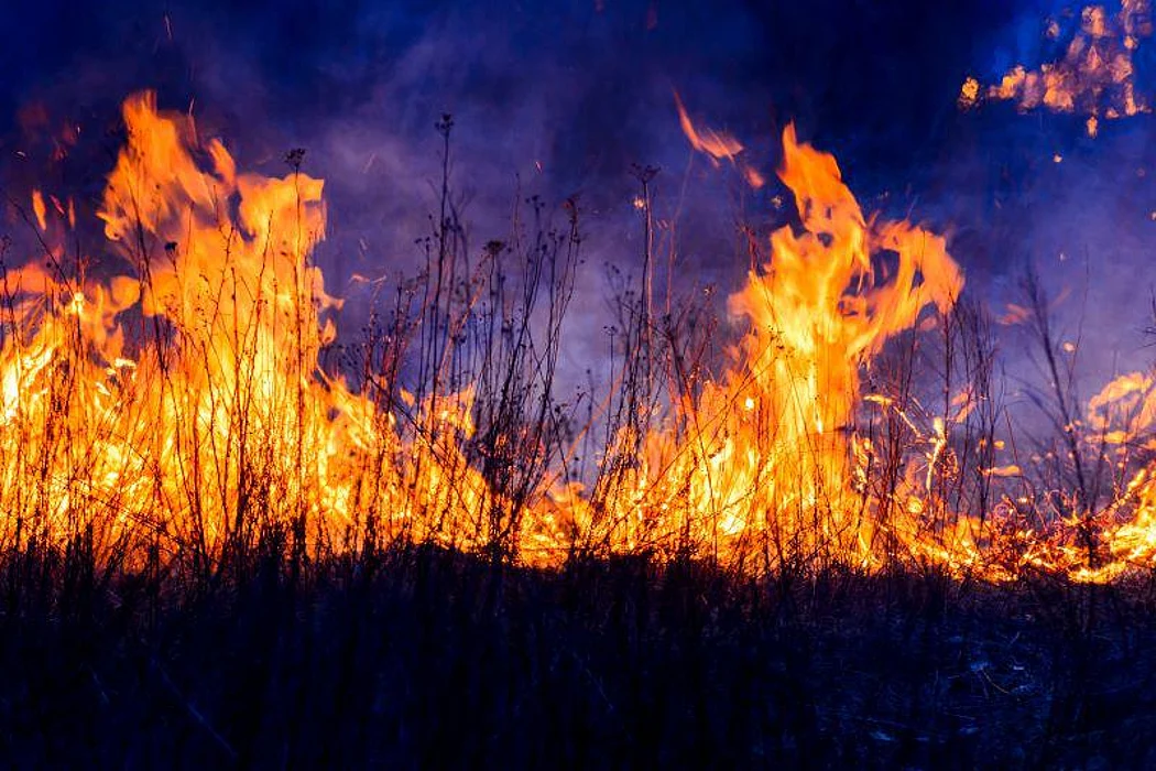 fire wildfire climate