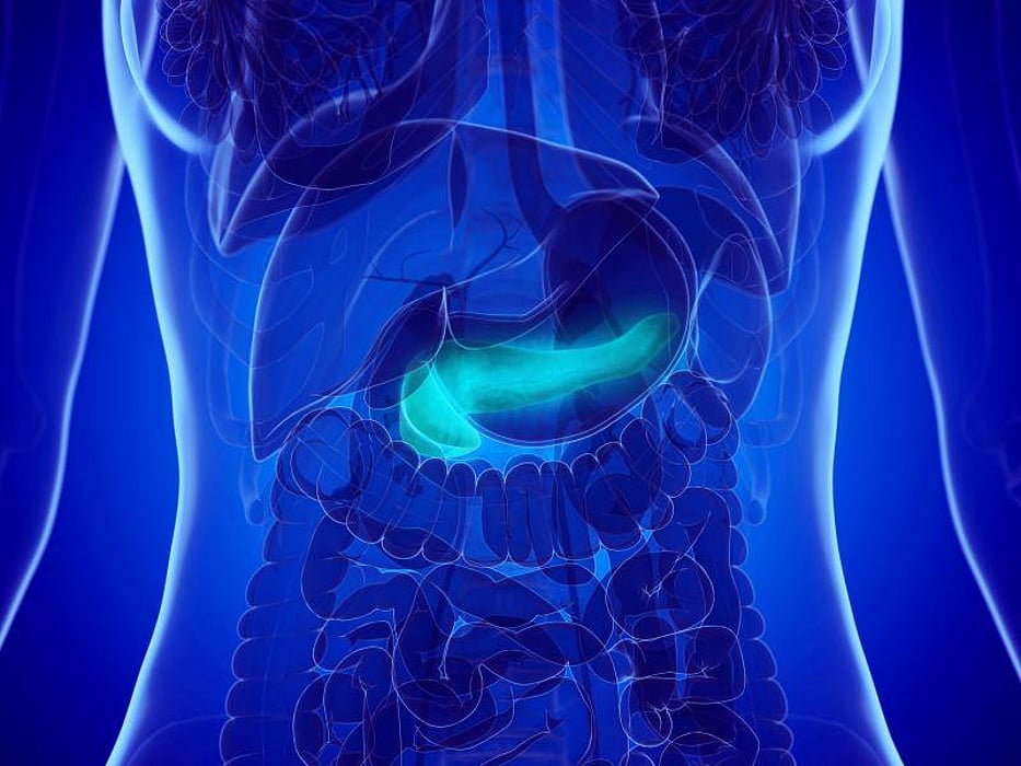 pancreas pancreatic