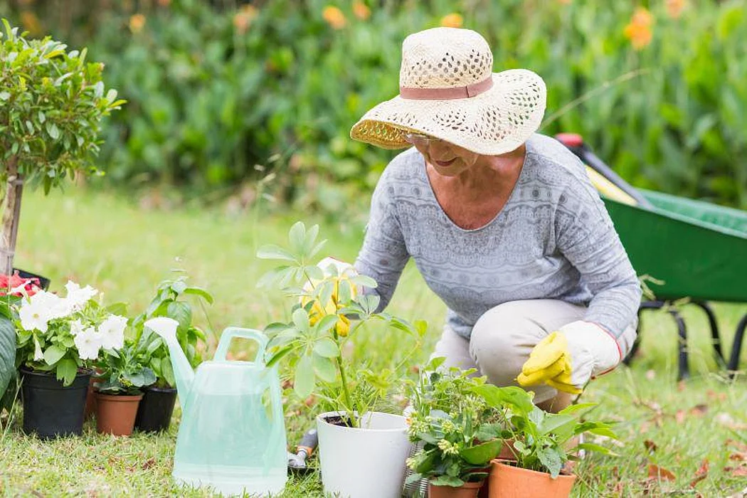 senior woman gardening