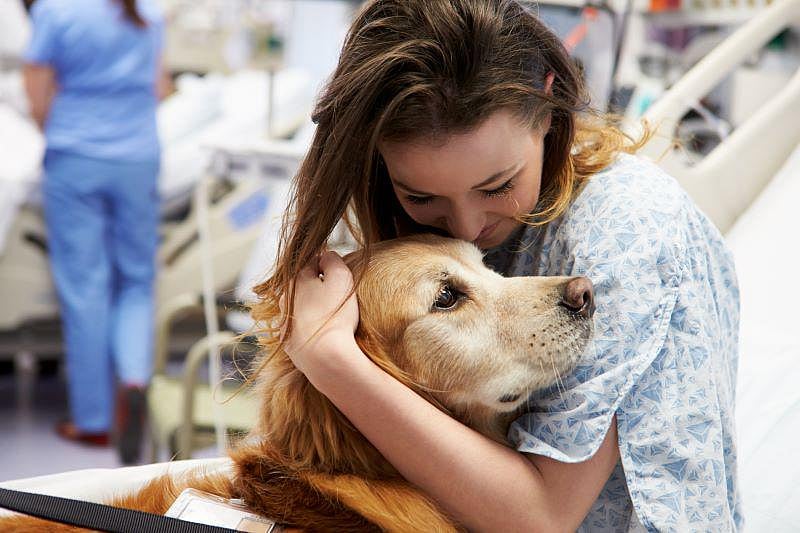 Petting a Dog Does Your Brain Some Good