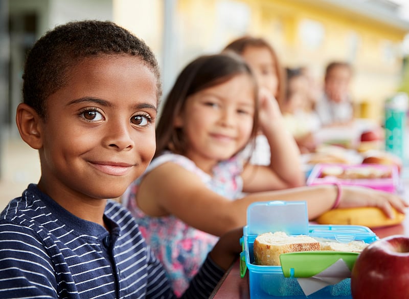 News Picture: Tasty, Nutritious School Lunches for Your Budget