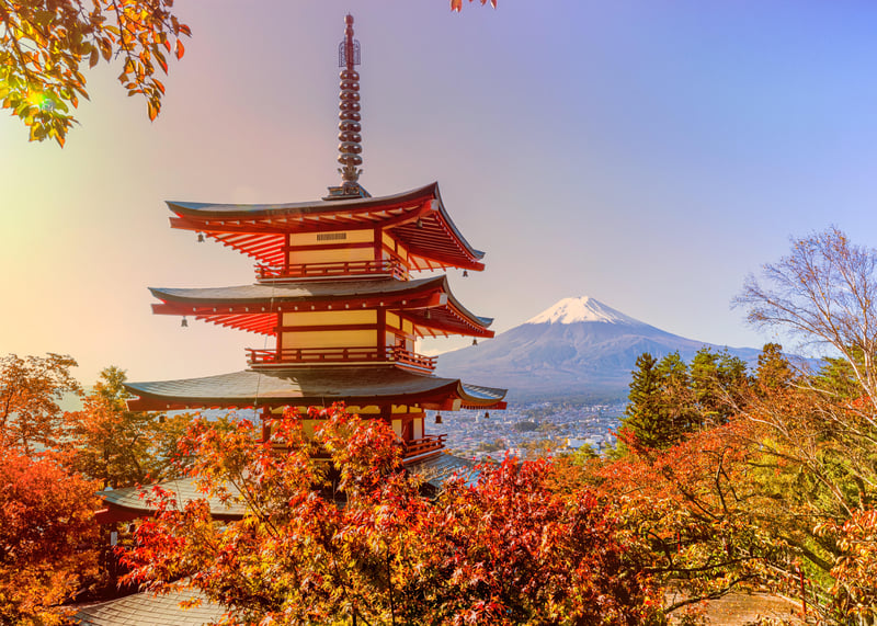 Japan to Drop COVID Restrictions, Ease Entry for Tourists