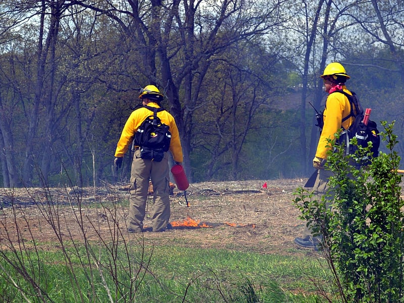 'Prescribed' Fires' Hidden Bonus: Fewer Ticks