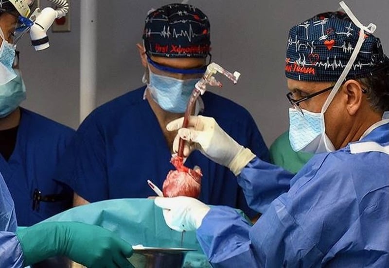 Surgeons Perform Transplant of Gene-Tweaked Pig Heart Into Second Patient