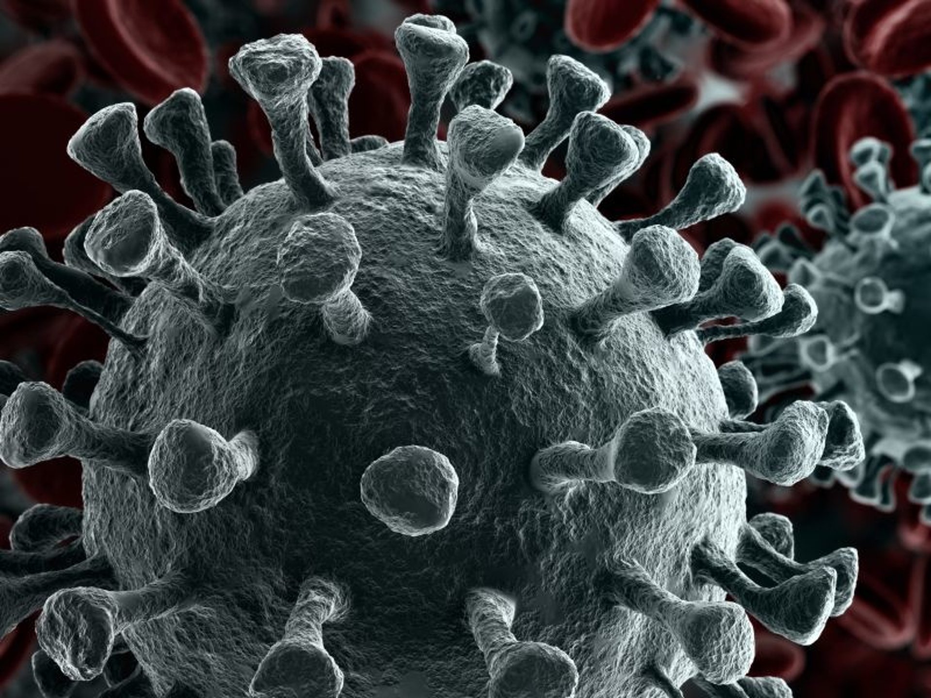 Imagen de noticia: Los pacientes jóvenes con inmunidad deteriorada son puntos calientes para las mutaciones del coronavirus: estudio