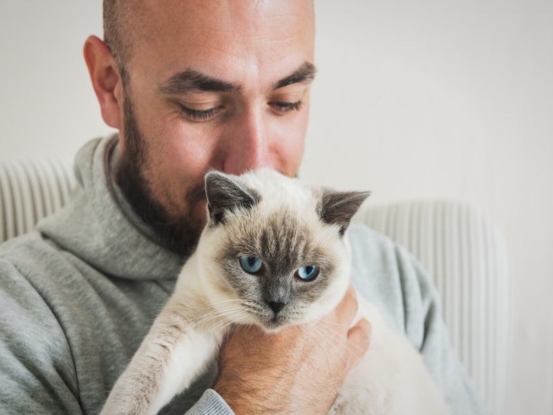 You Can Pass COVID to Your Cat, Study Finds
