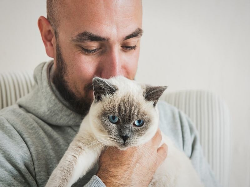 You Can Pass COVID to Your Cat, Study Finds