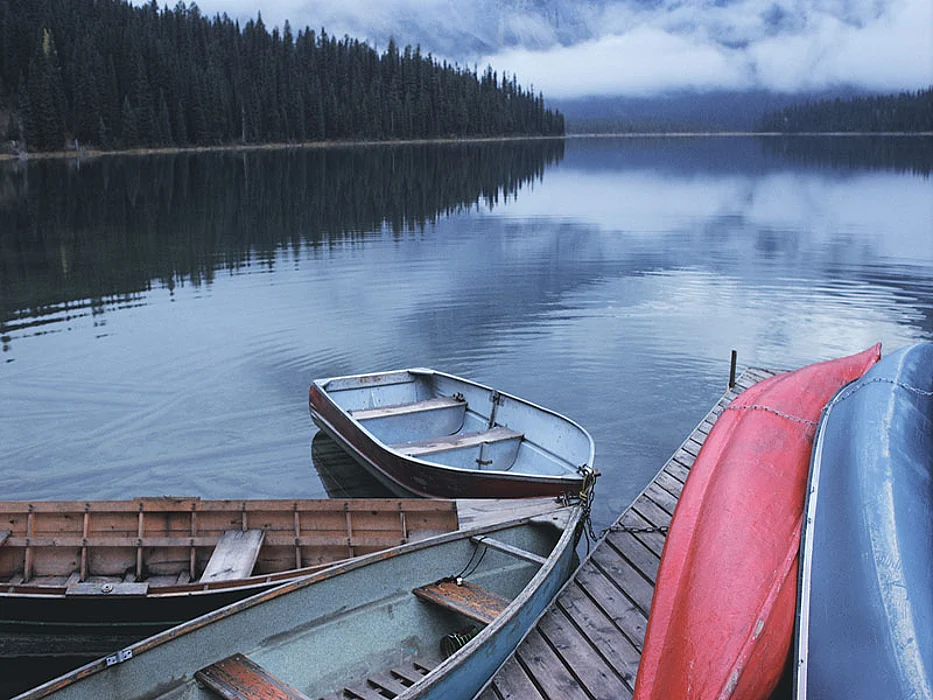 docked boats
