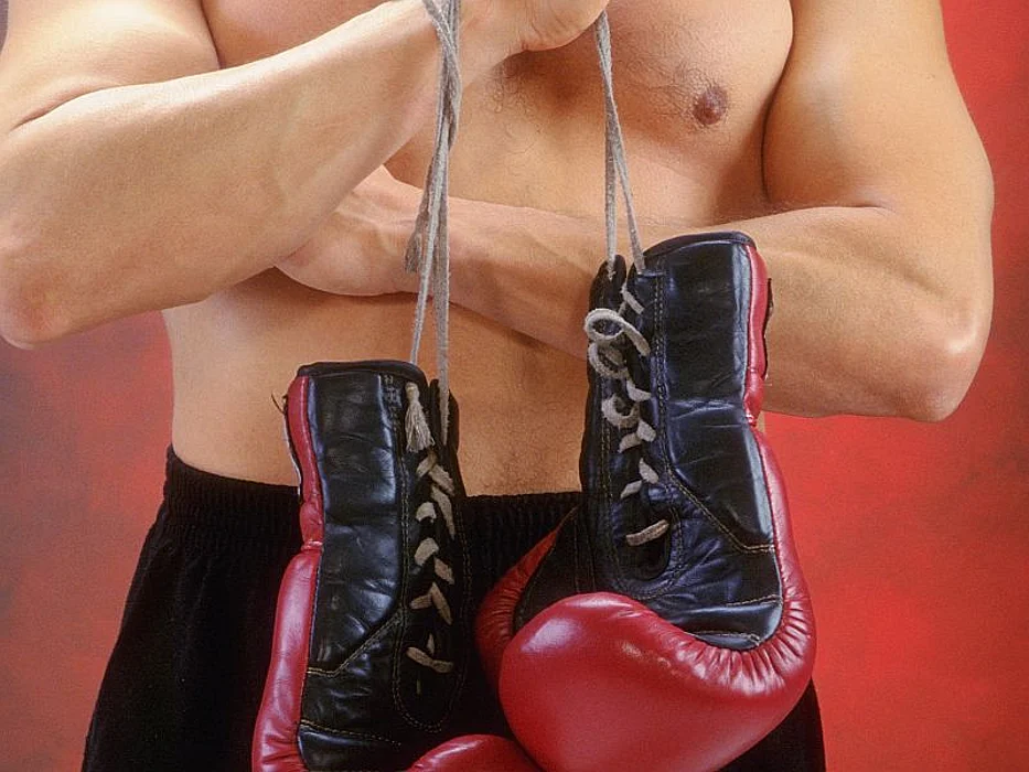 boxer
