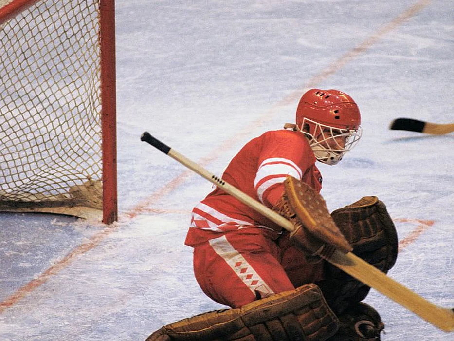 hockey goalie