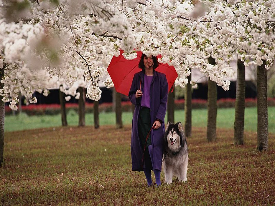 woman with a dog
