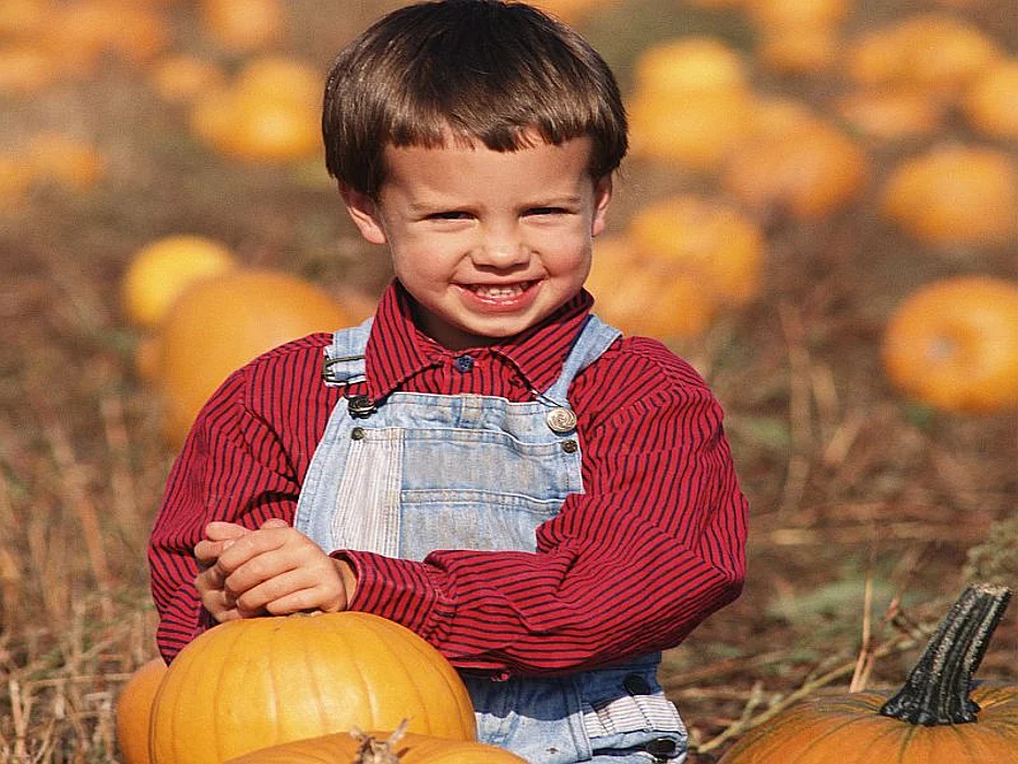 boy with a pumpkin smiling