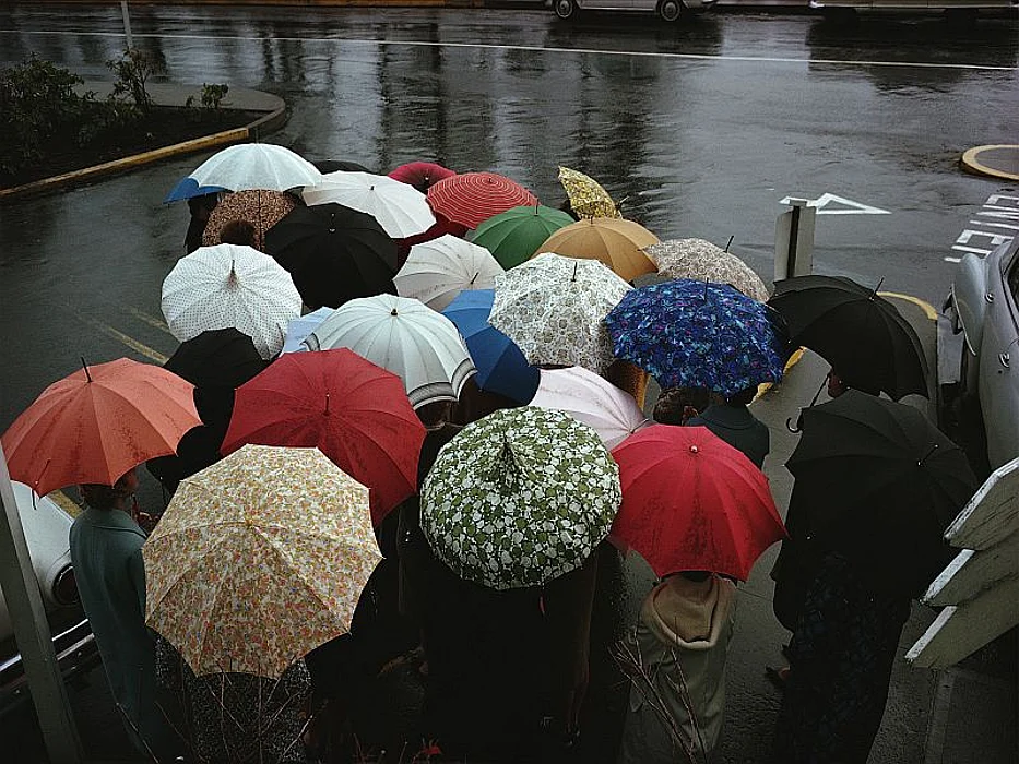 umbrellas in the rain