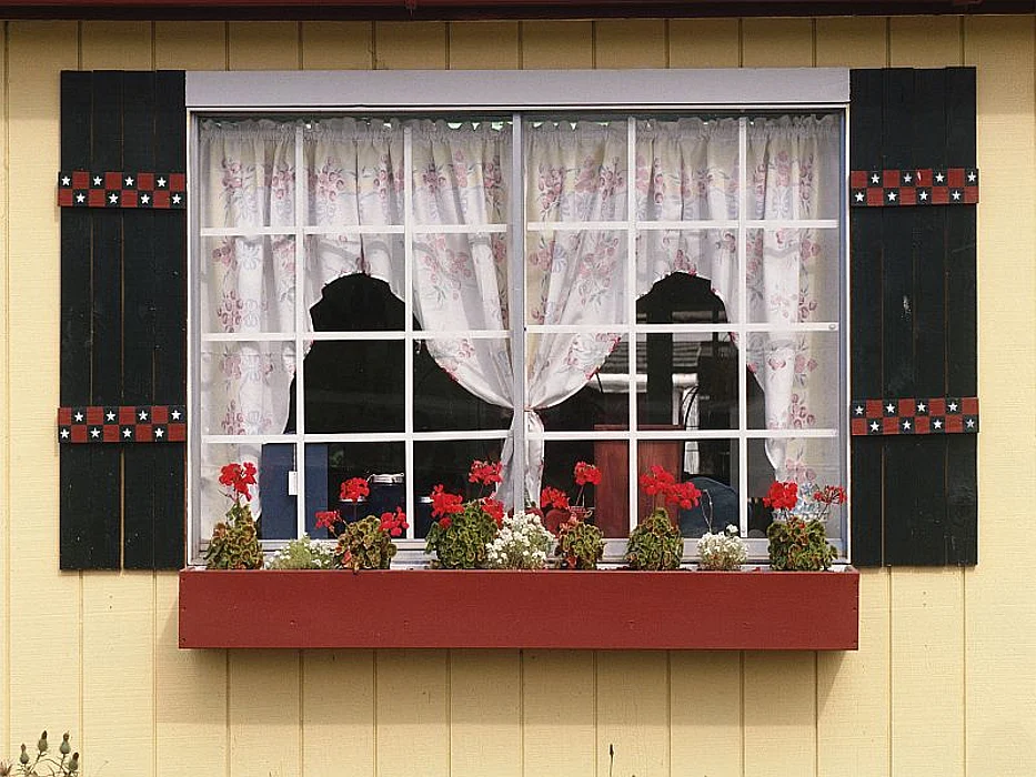 window sill with flowers