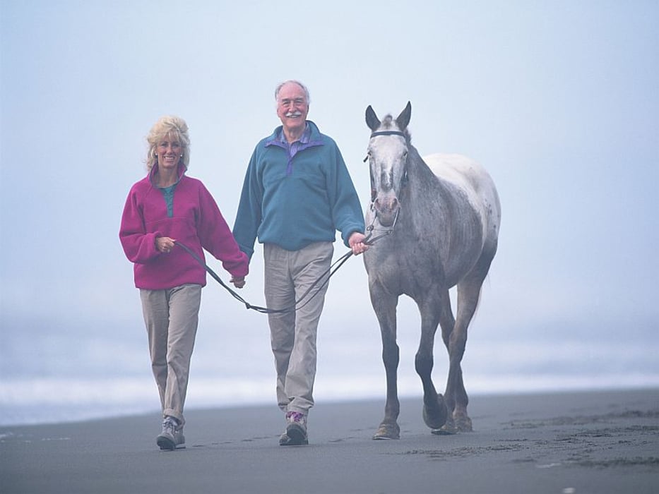 couple with horse
