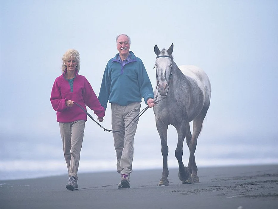 couple with horse