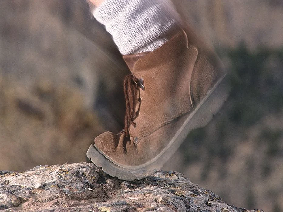 hiking shoe