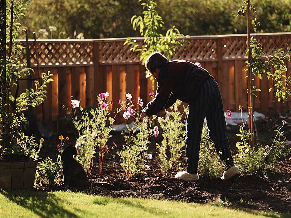 gardening flowers