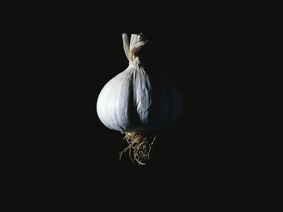 garlic bulb