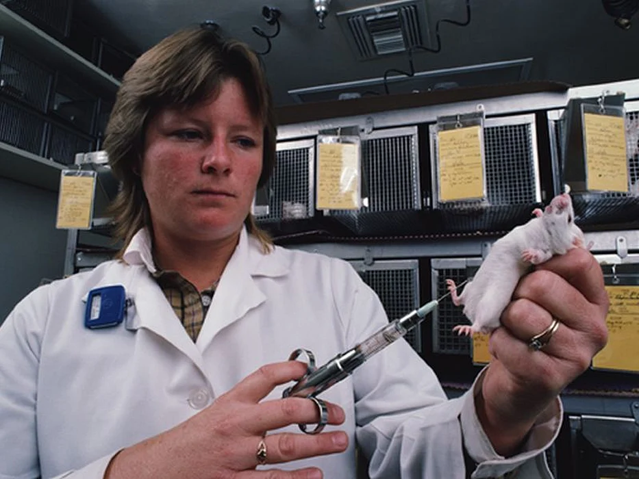 technician in the lab