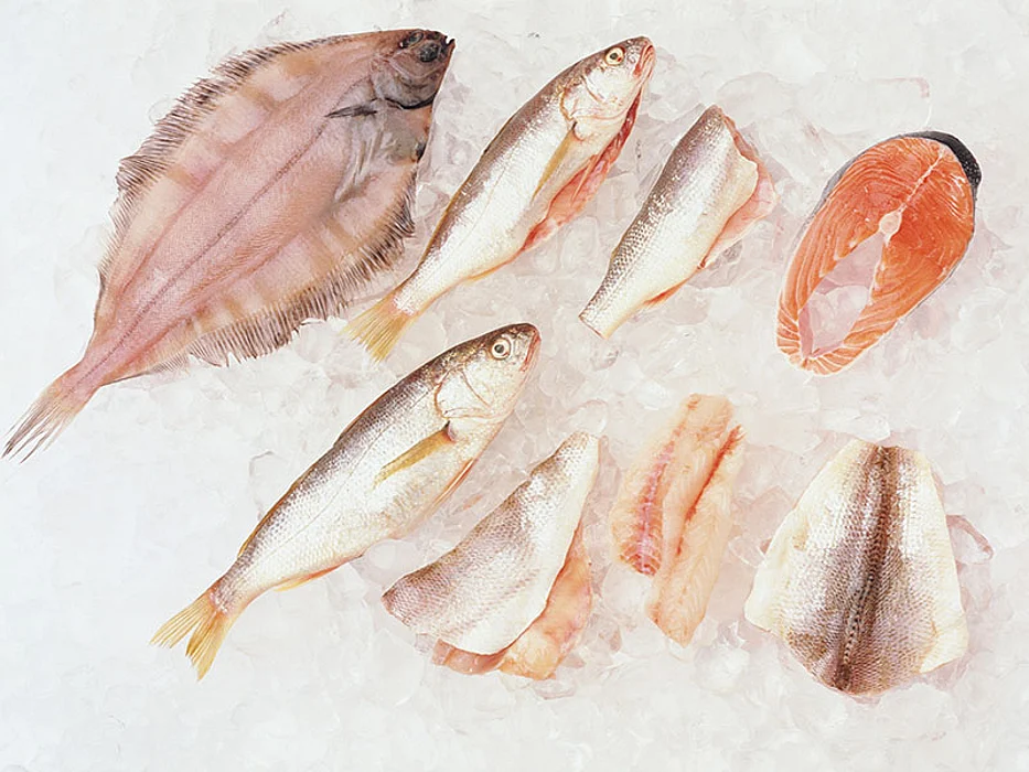 fish
