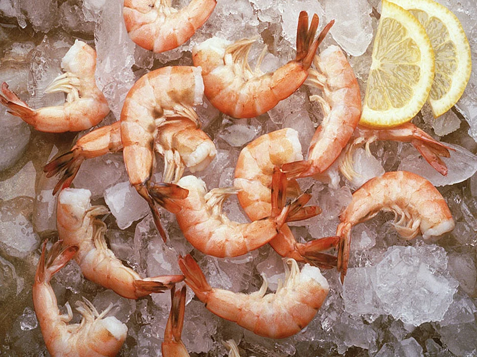 shrimps