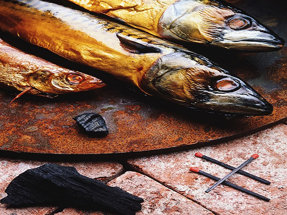 fish