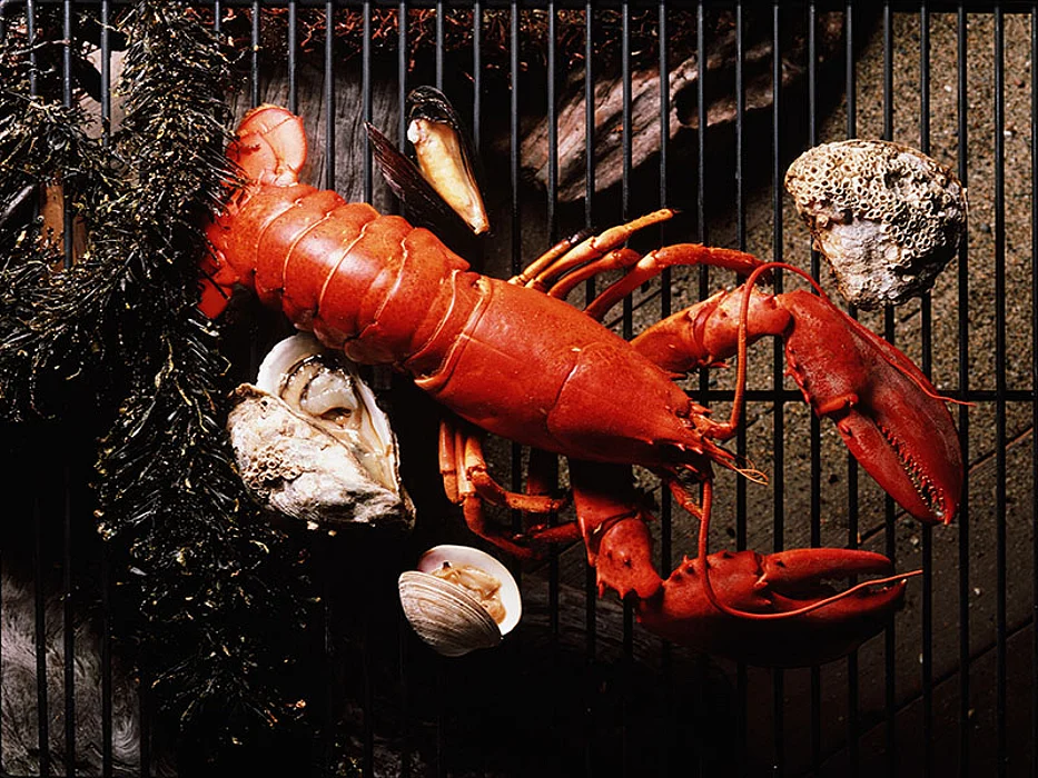 lobster