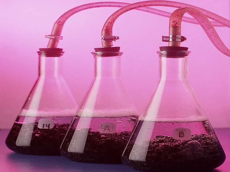 laboratory flasks